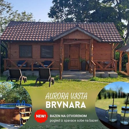 Brvnara Aurora Vista Villa Velika Remeta Kültér fotó