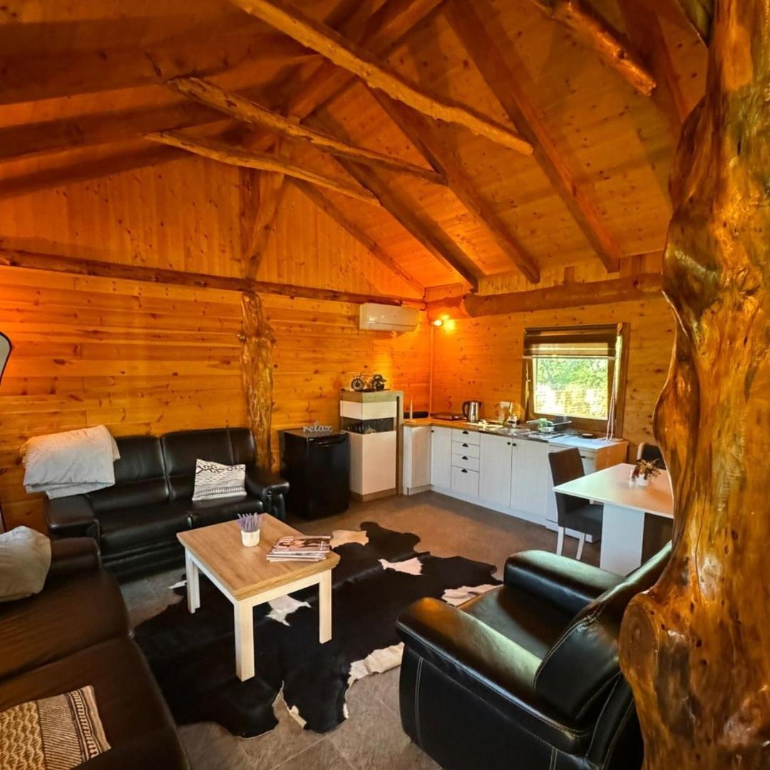 Brvnara Aurora Vista Villa Velika Remeta Kültér fotó